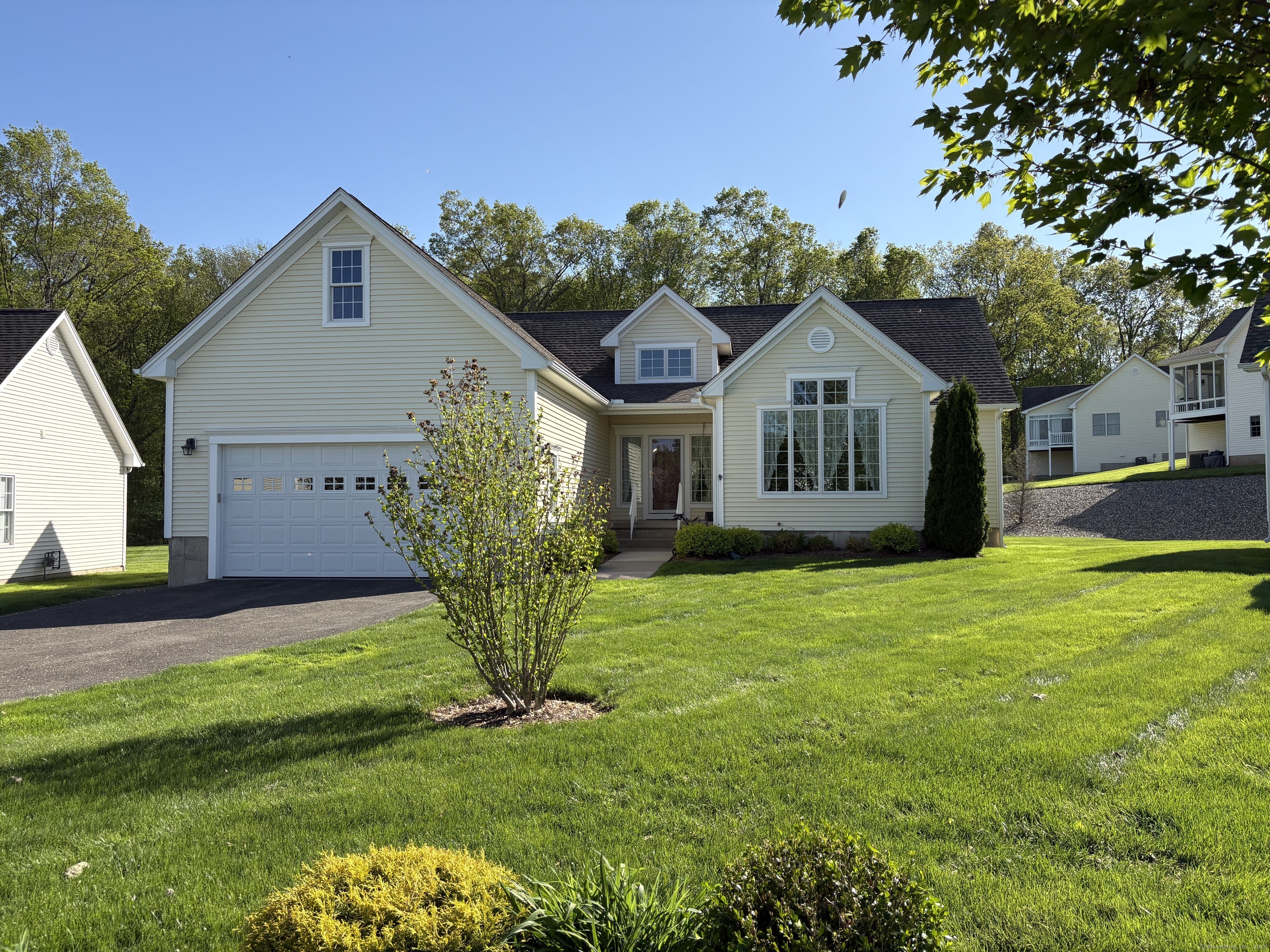 Property Photo: 56 Boysenberry Court 56 CT 06078