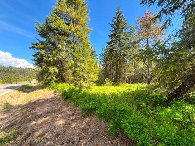 41xx W Cemetery Rd  Springdale WA 99173 photo