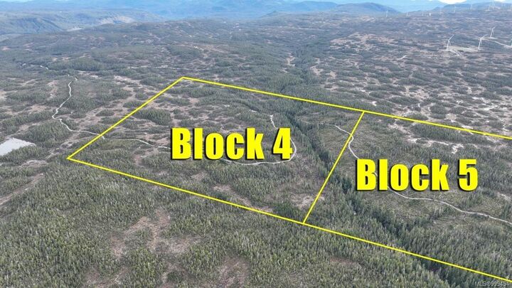 Property Photo: 5 Cape Sutil Holberg (Off) Hwy BC V0N 2P0