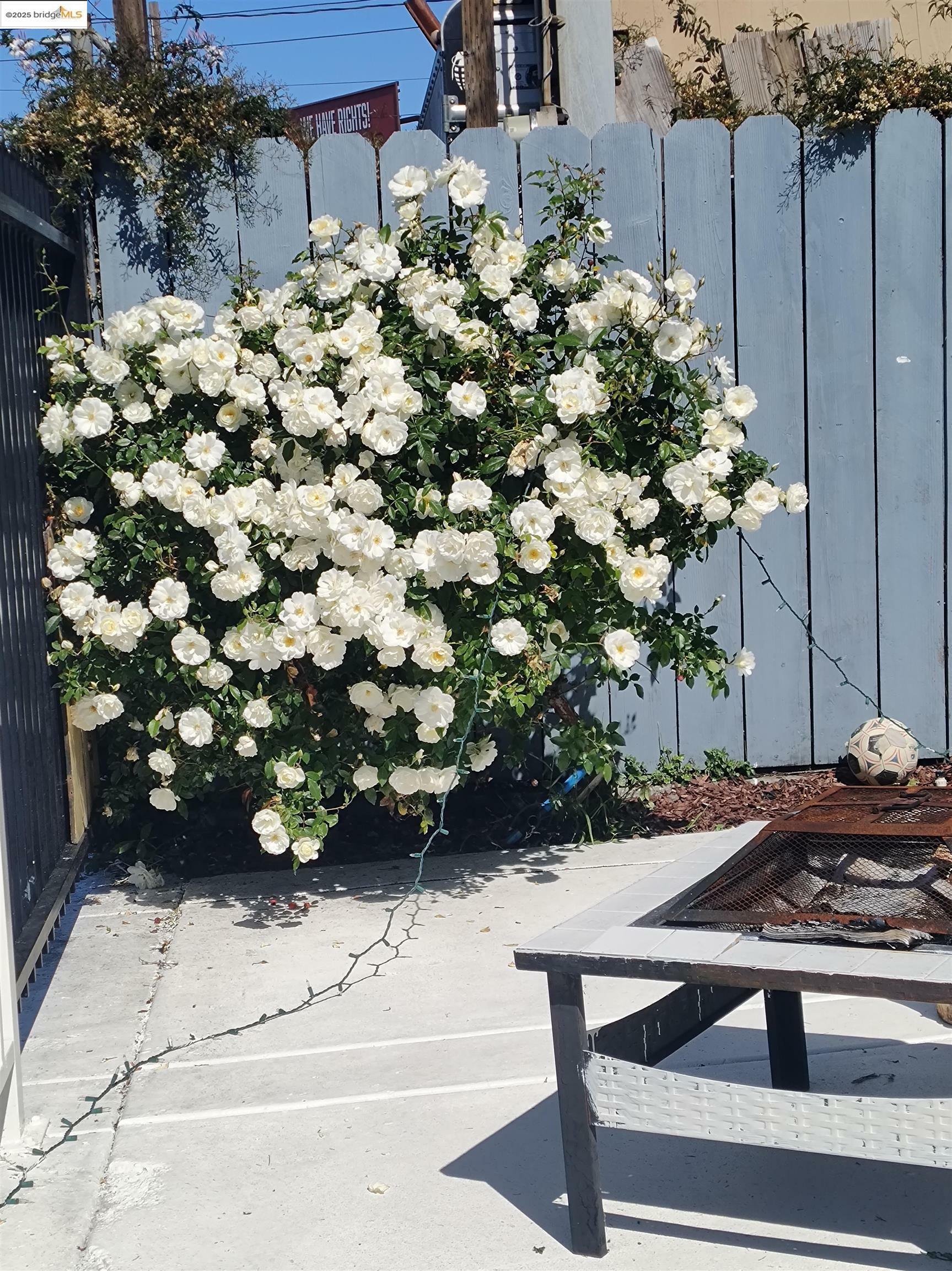 Property Photo: 3532 San Leandro St B CA 94601