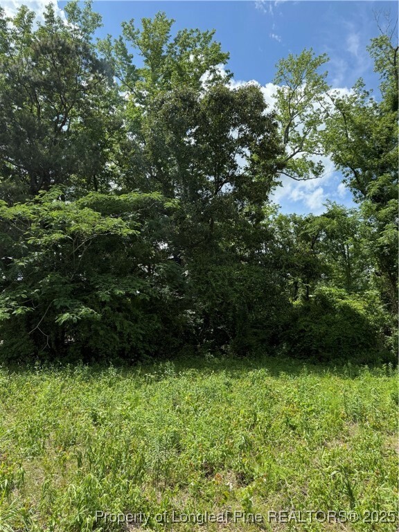 Property Photo: 0 Coleman Road NC 28312