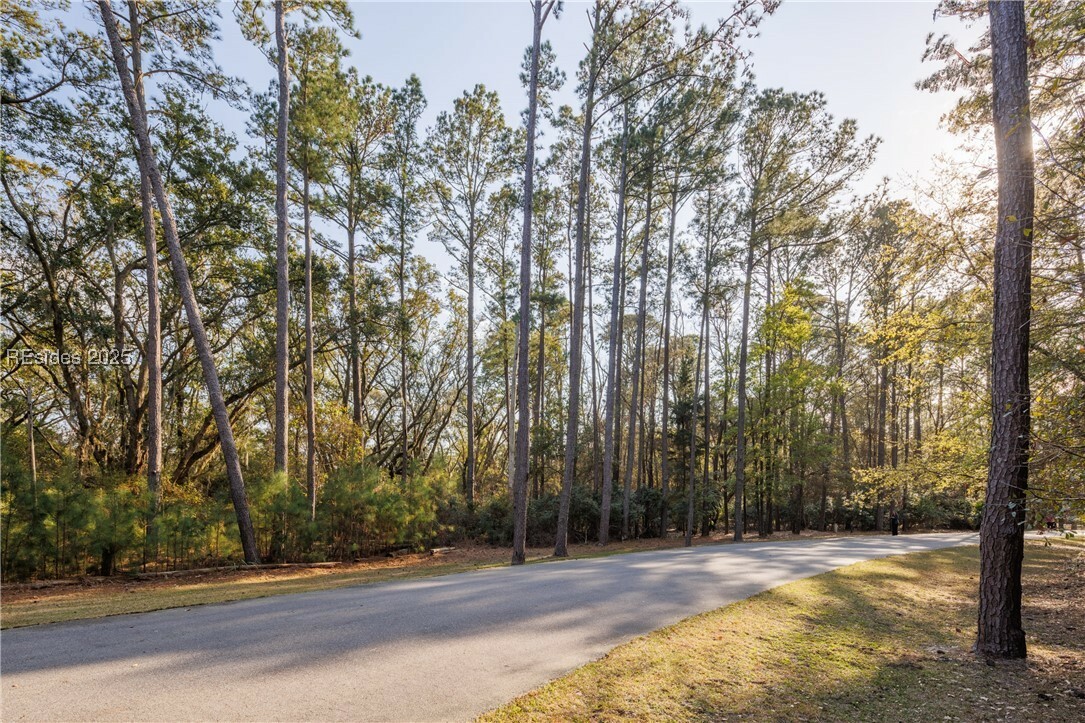 Property Photo: 14 Vista Boulevard W SC 29920