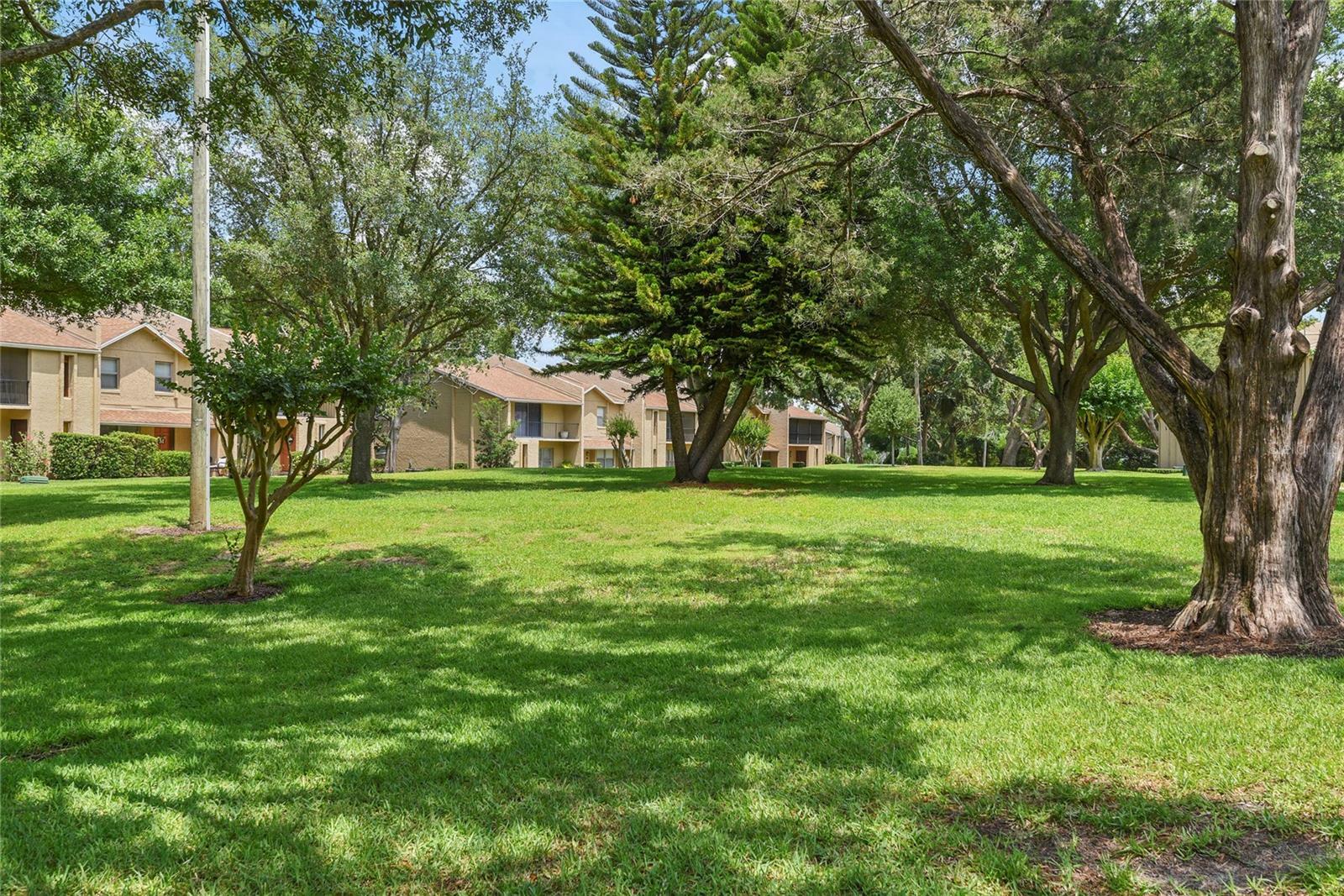 Property Photo: 1020 Grove Street 29 FL 32751