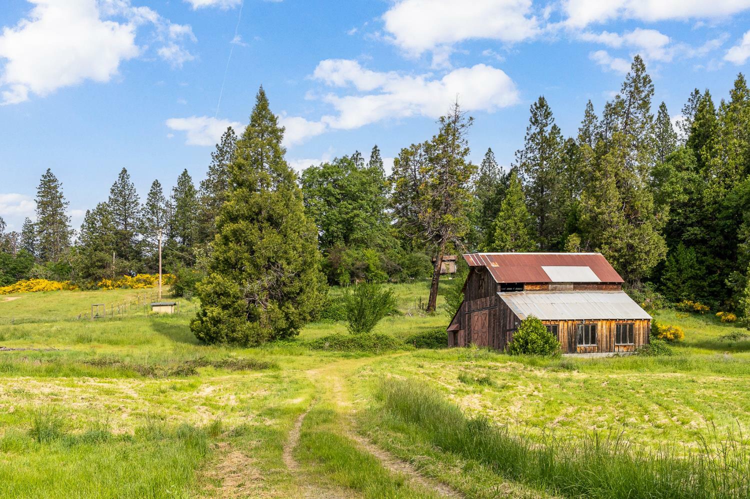 Property Photo: 29658 State Highway 49 CA 95960