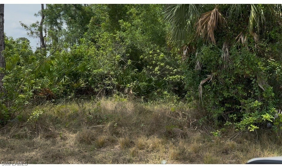 Property Photo: 5325 Belrose Street FL 33971
