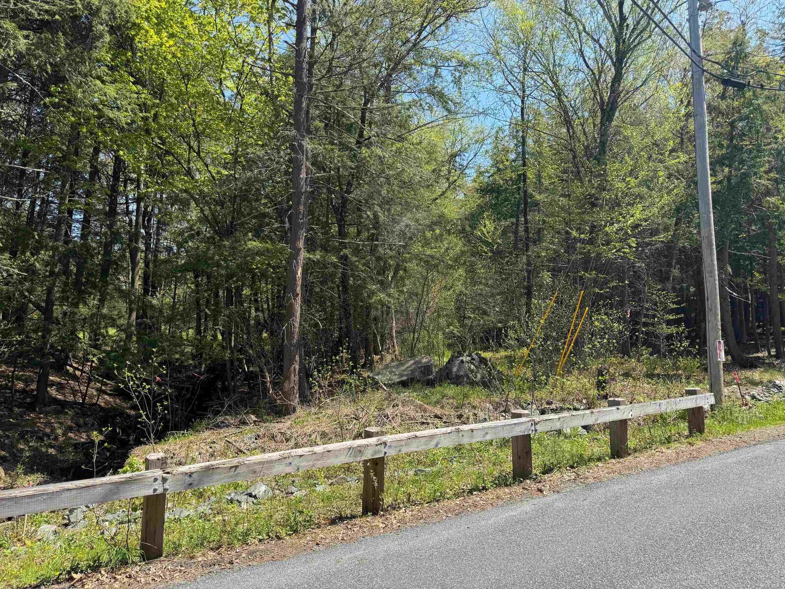 Property Photo: 169 Slayton Hill NH 03766