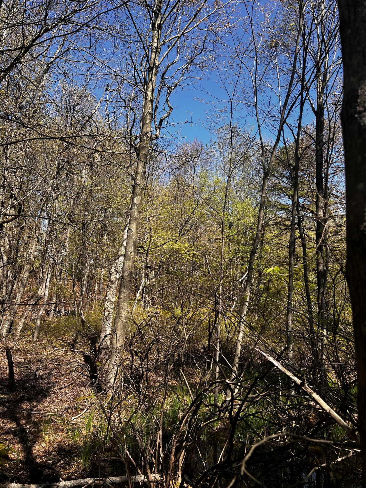 Property Photo:  Lot 5881 Tumbleweed Drive  PA 18334 