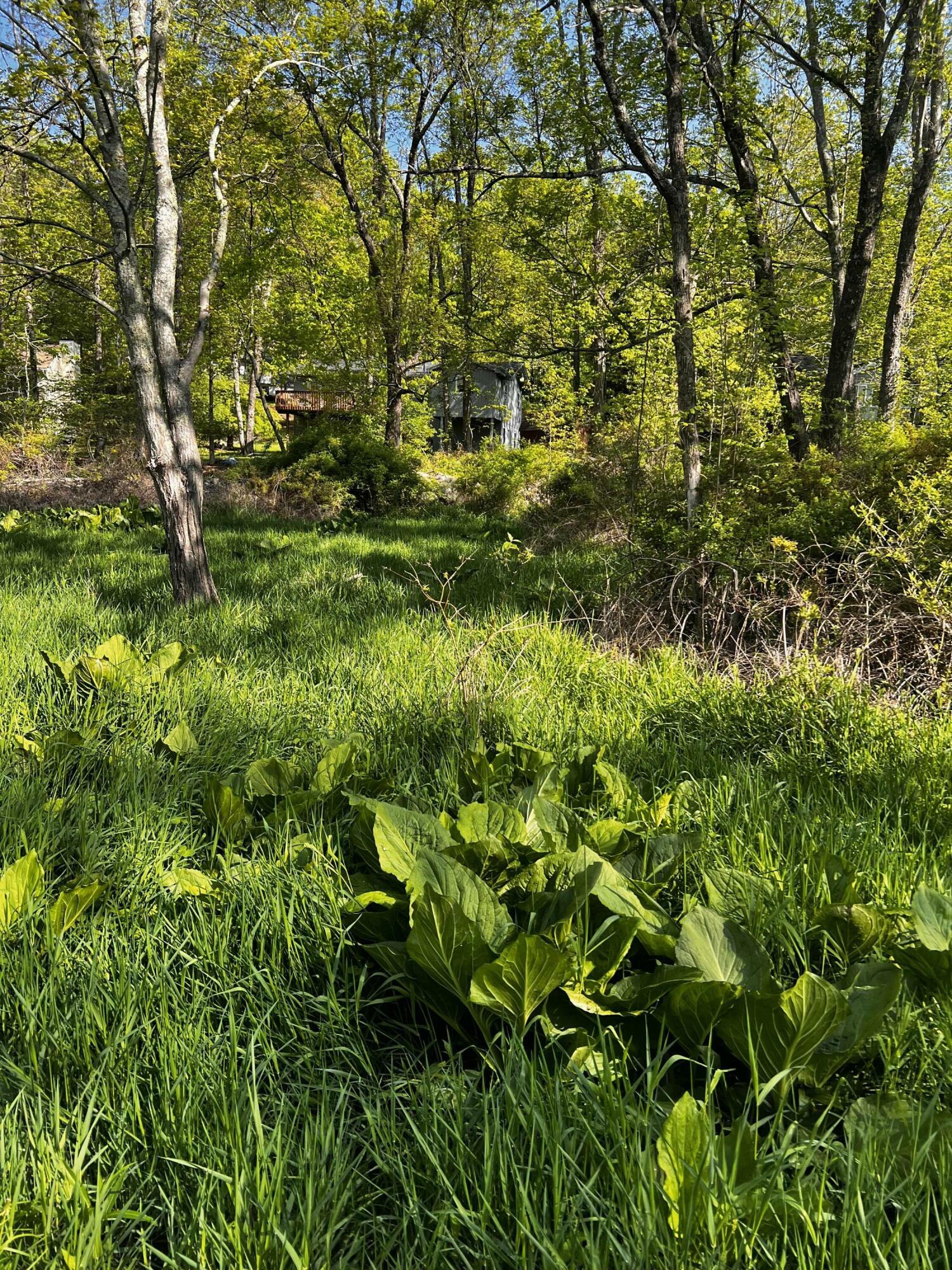 Property Photo: Lot 412-413 Marilou Lane PA 18321