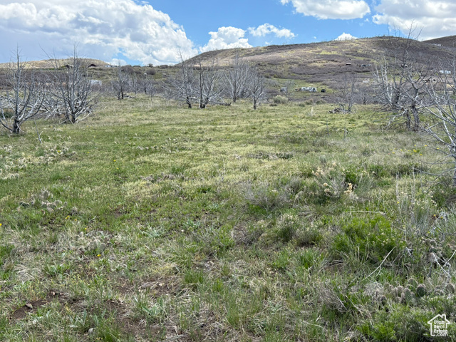4 Thistle Blossom Rd J4  Indianola UT 84629 photo