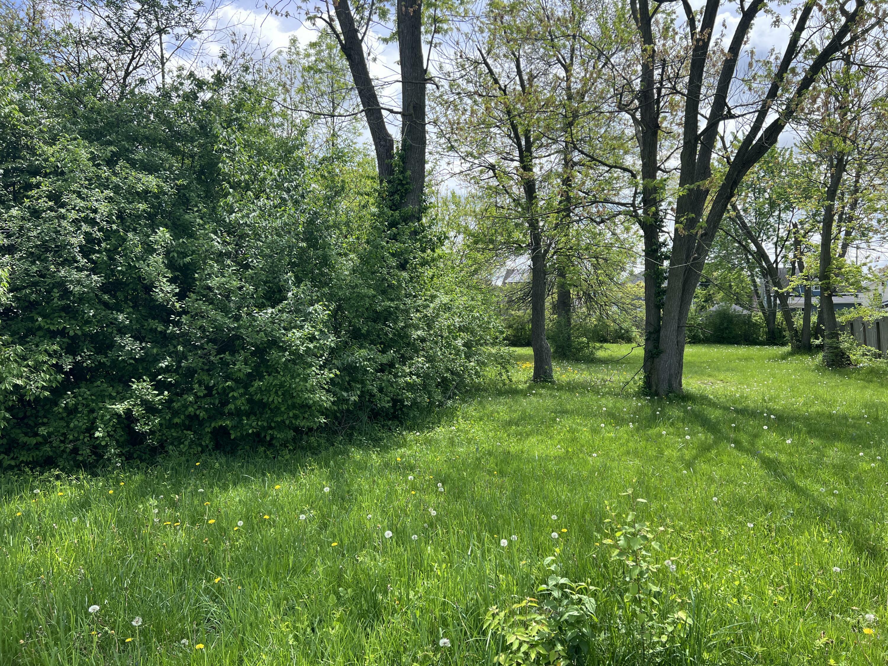 Property Photo: 0 Latham Avenue OH 45805