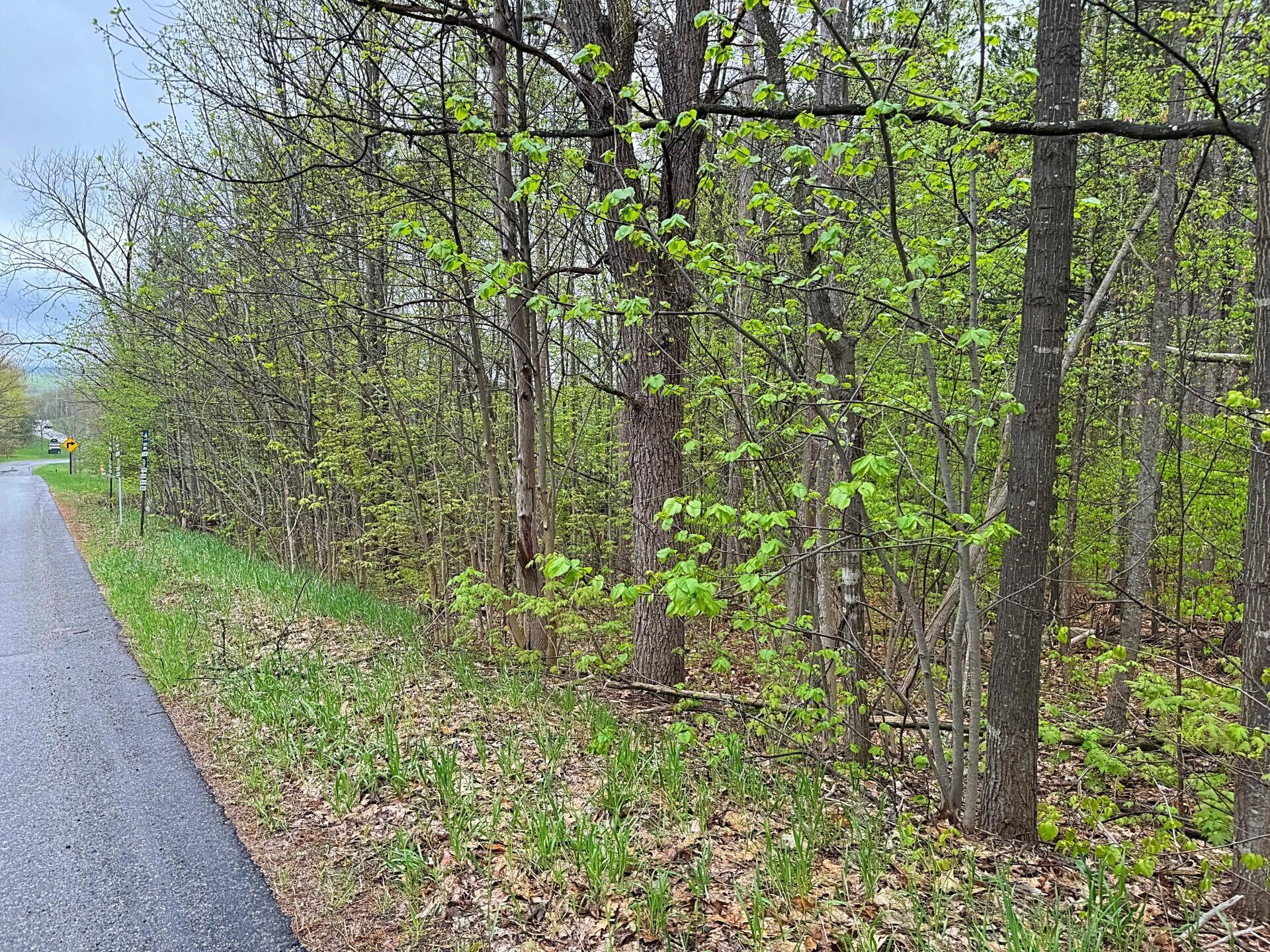 Property Photo: 000 Del Mason Road MI 49615