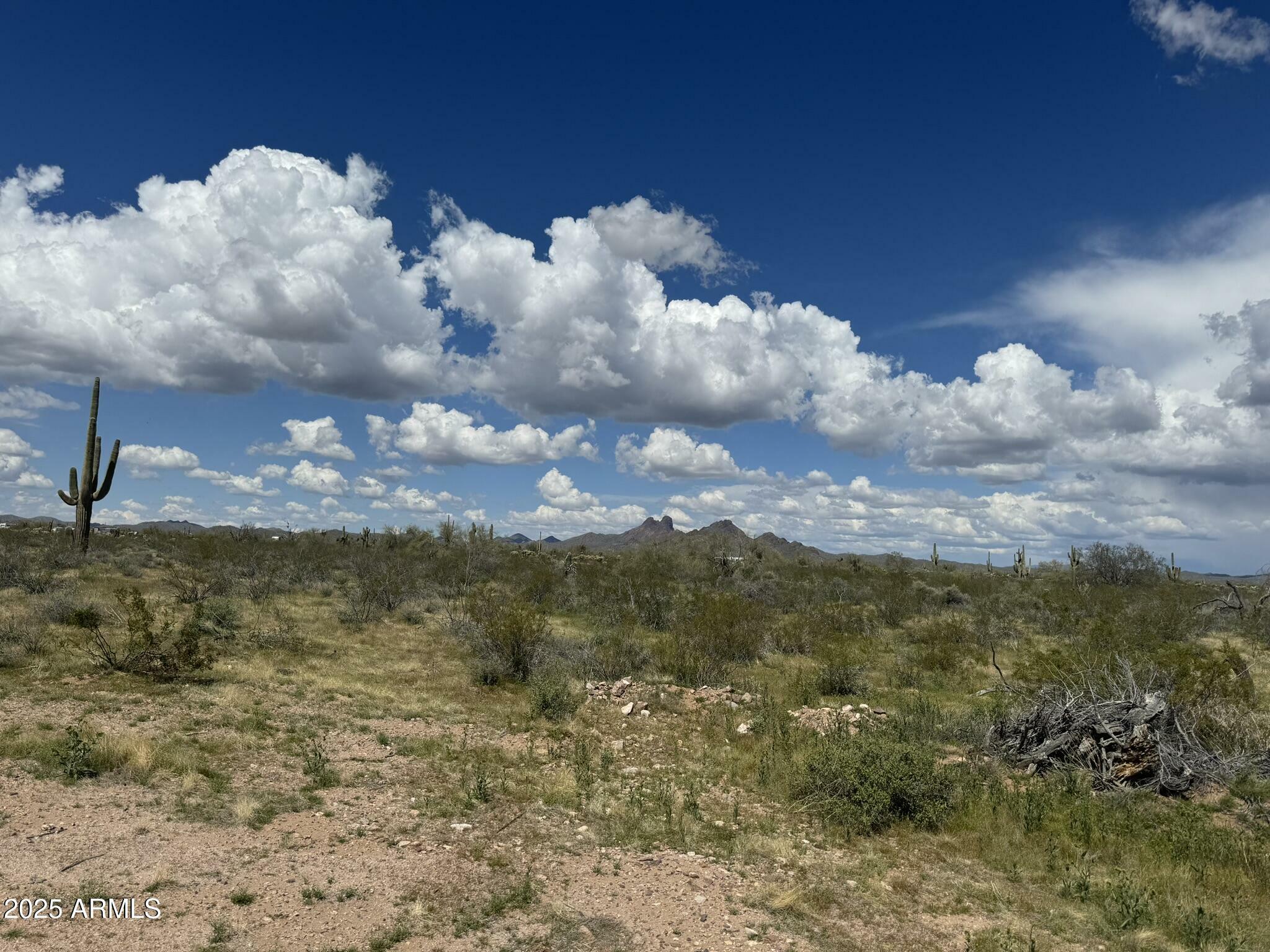 Property Photo: 33098 W Galvin Street 64 AZ 85390