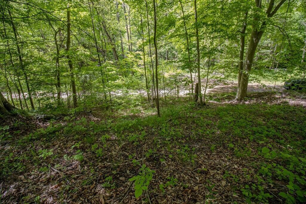Property Photo: 0 Kinzer Road OH 45612
