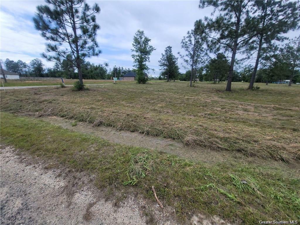 Property Photo: 0 John McFatter Road LA 70657