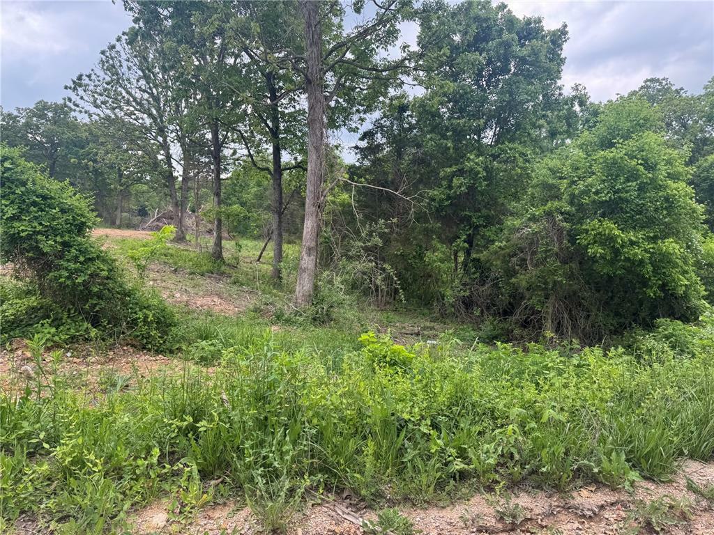 Property Photo: 24679 Mineral Drive MO 65536