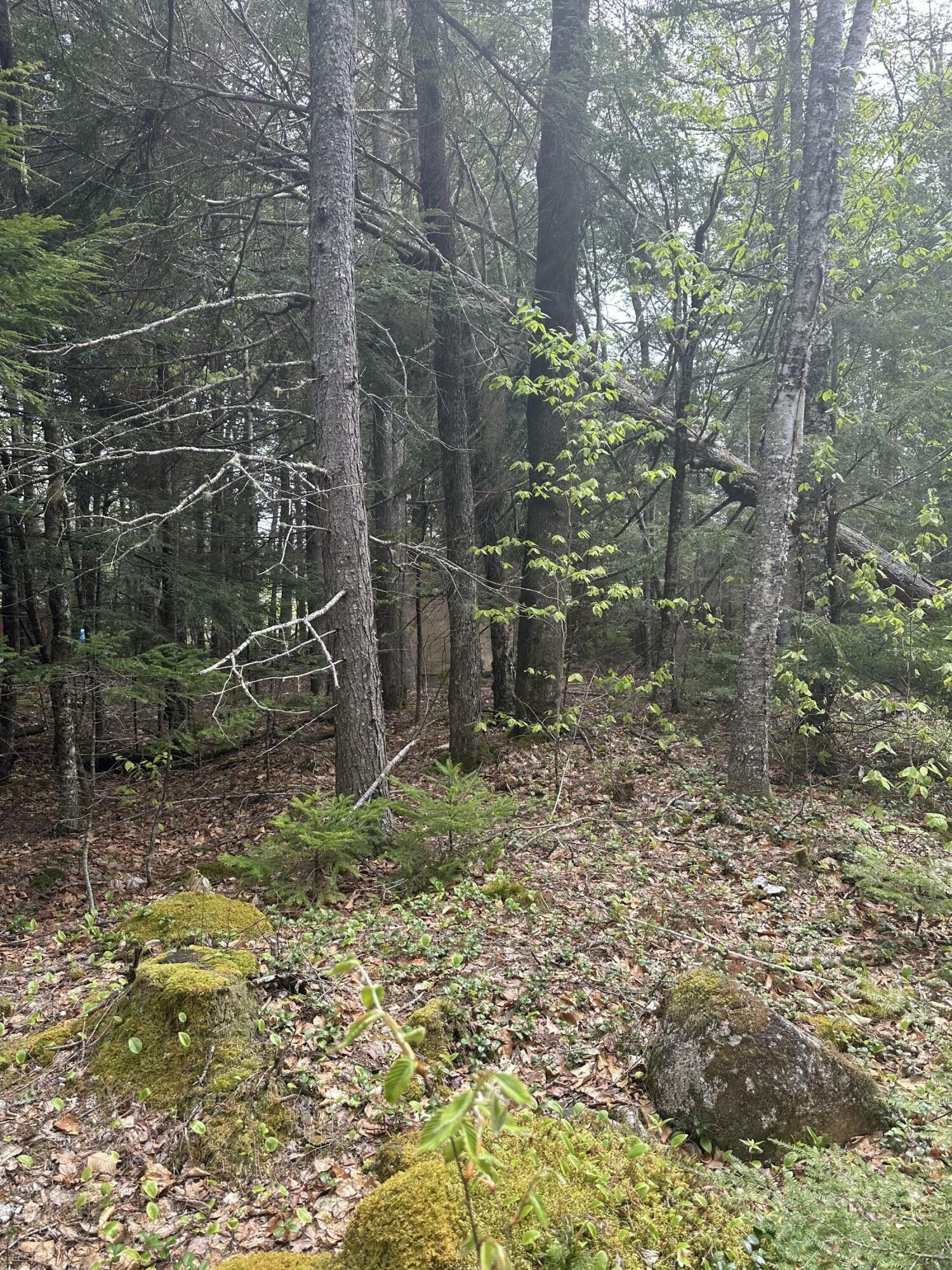 Property Photo: 00 Endov Lane ME 04622