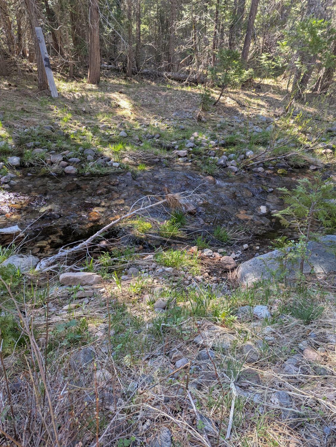 Property Photo: 0 Texas Hill CA 95715