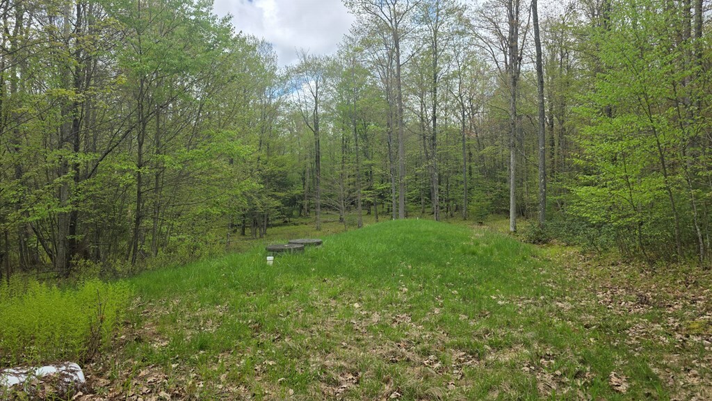 Property Photo:  464 Deer Lick Road  PA 16950 