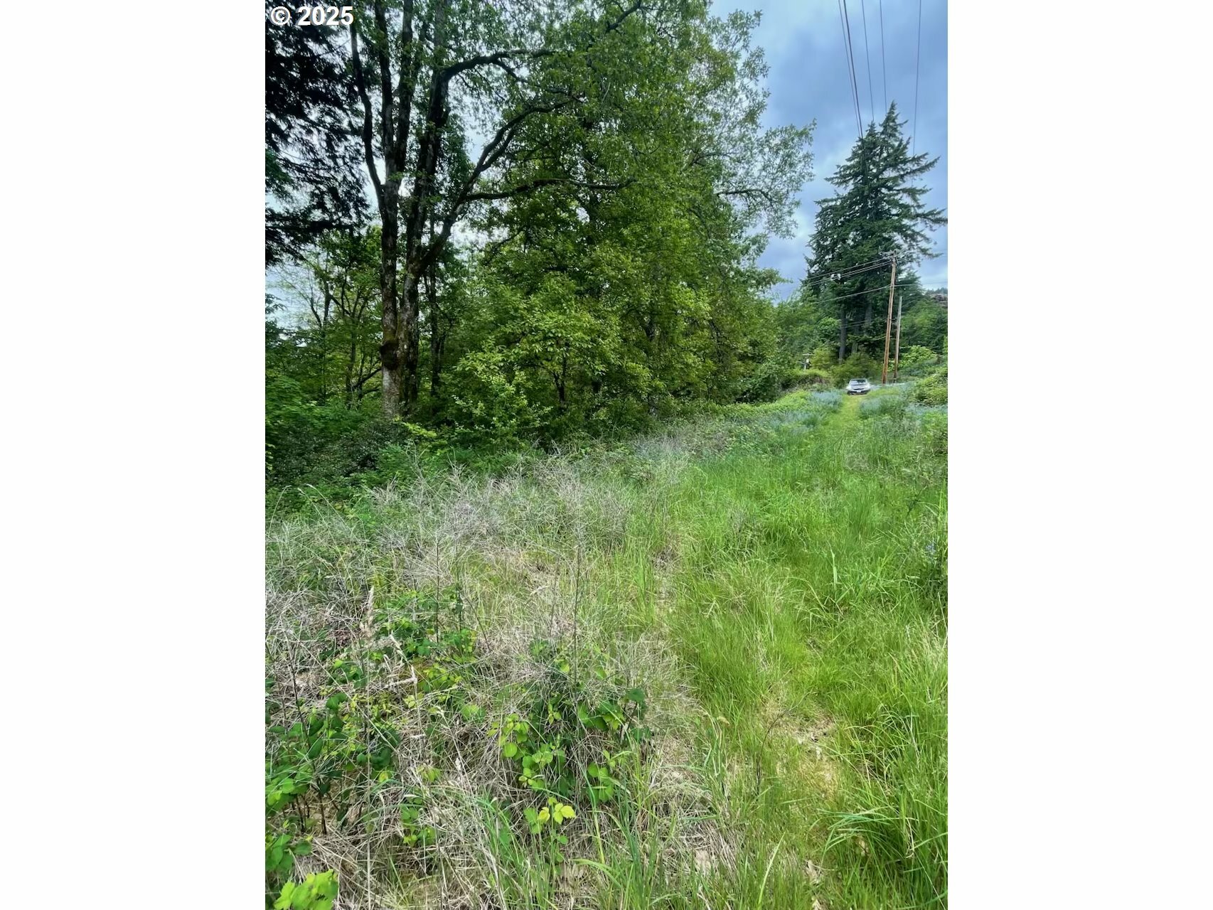 Property Photo: Carson Depot Rd WA 98610