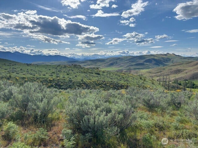 27  Frazier Crossing Road  Twisp WA 98856 photo