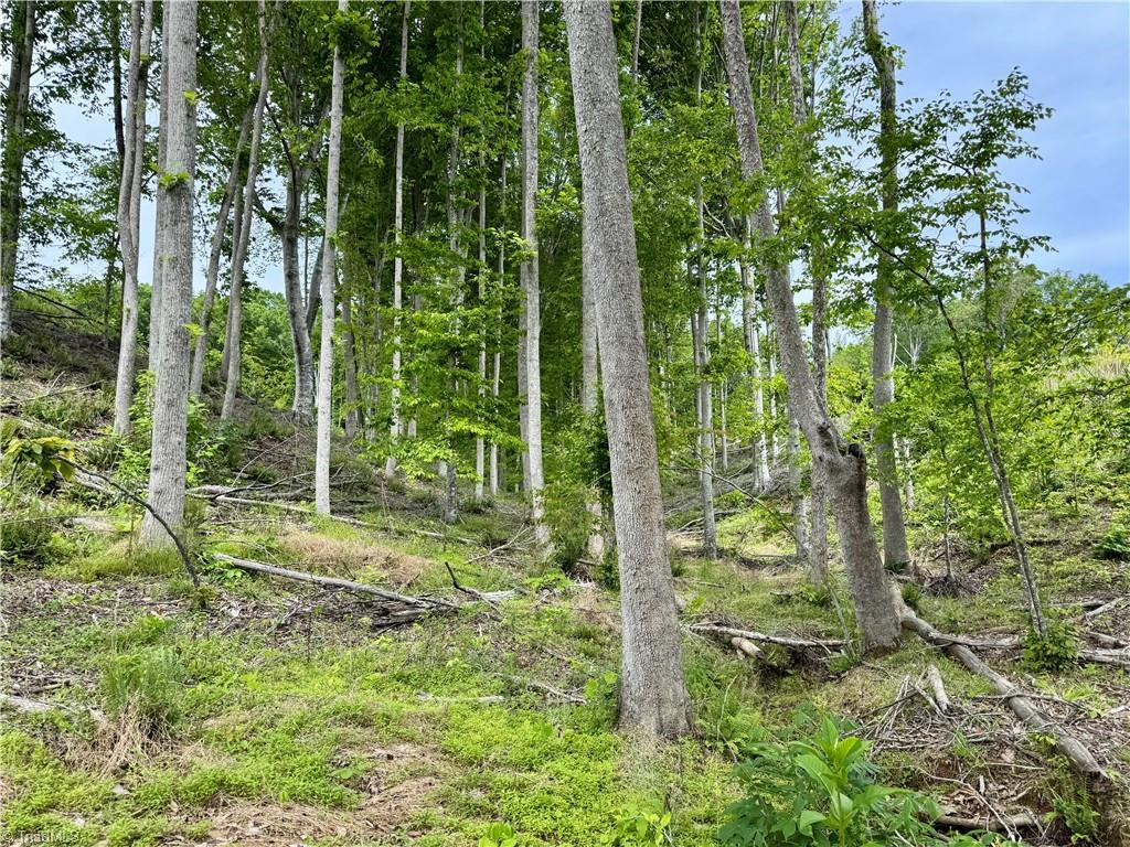 Property Photo: Lot 9 Skeens Mill Road NC 27370