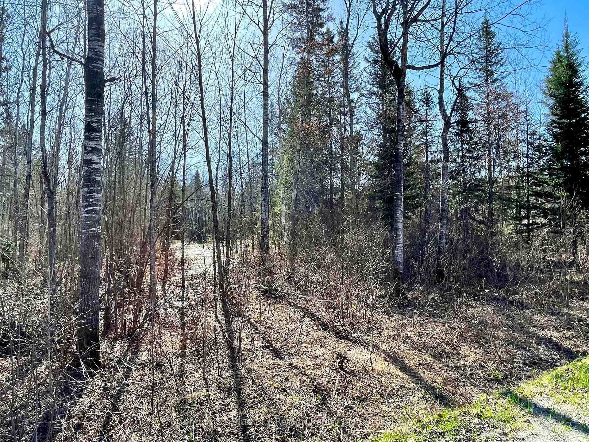 Property Photo:  Part 3 Bourbonnais Road  ON P0H 1M0 