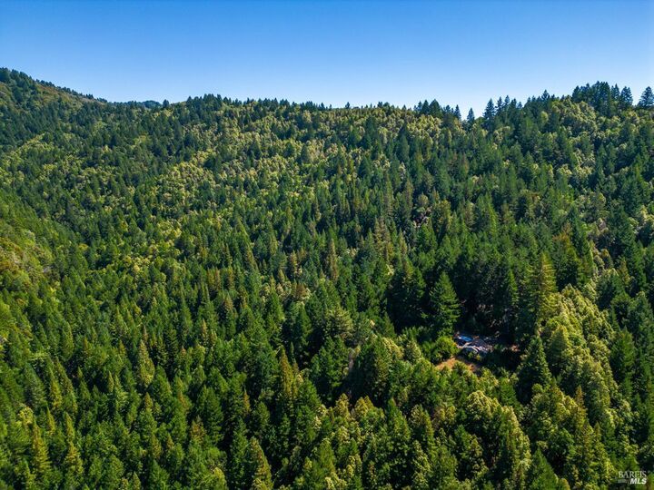Property Photo: 0 0 Low Gap Road CA 95482