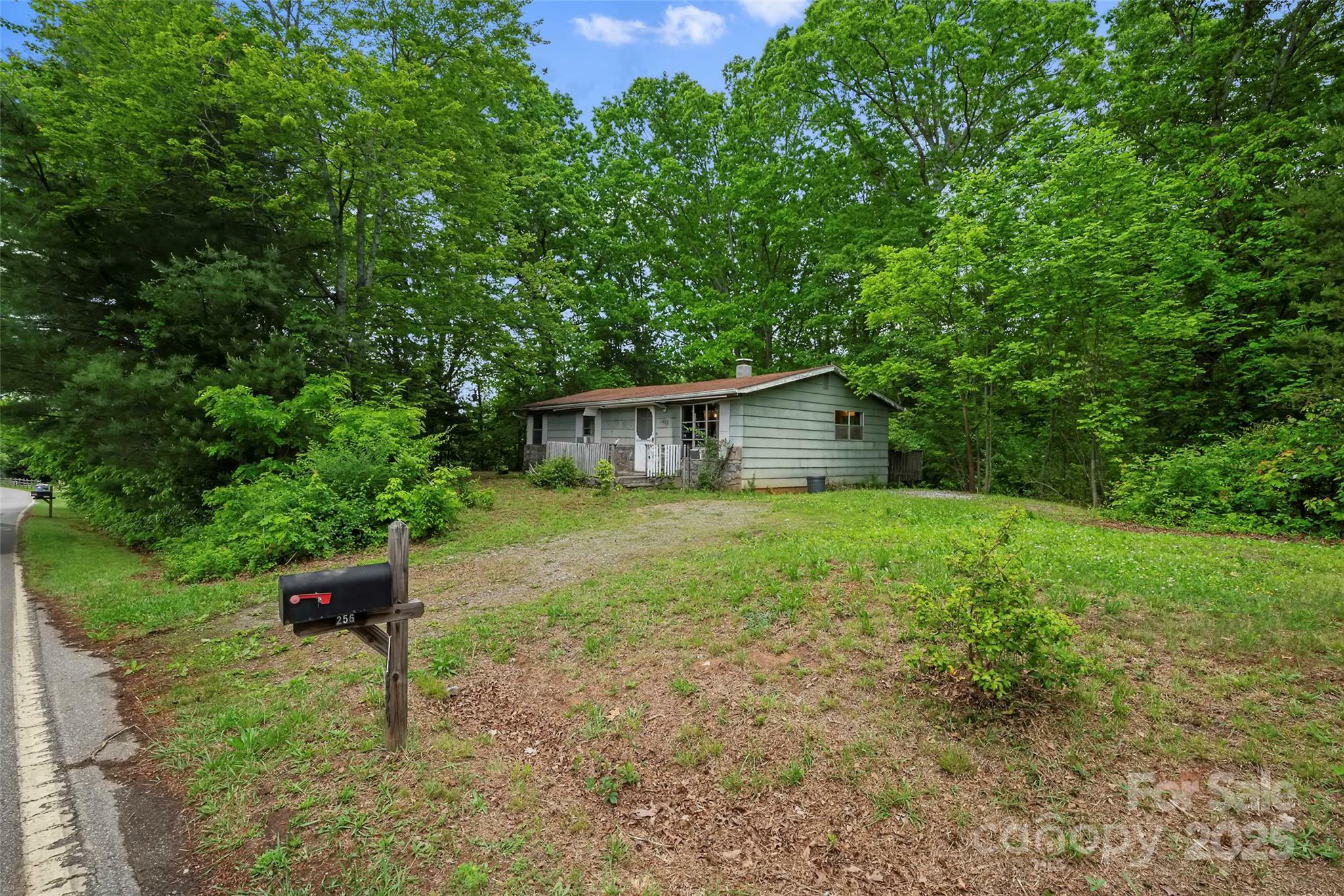 Property Photo: 256 Goughes Branch Road NC 28748