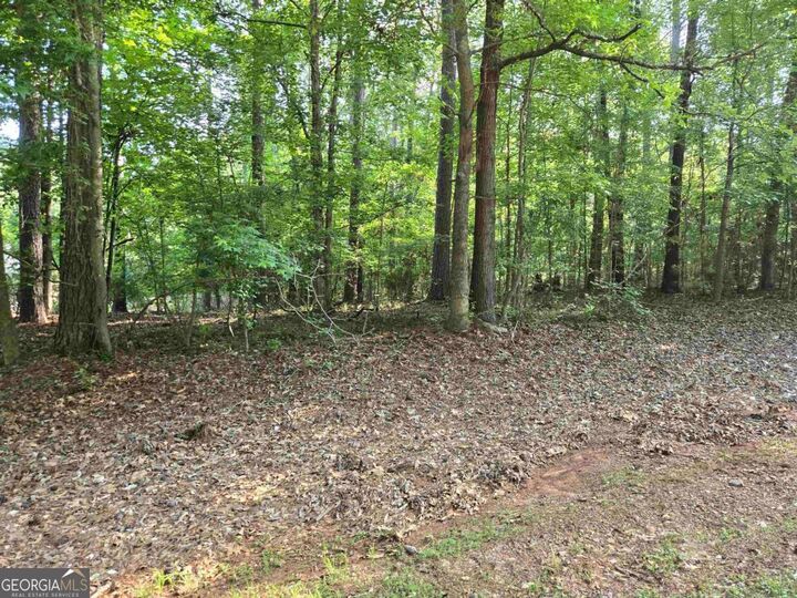 Property Photo:  112 Carolyn Drive  GA 31024 