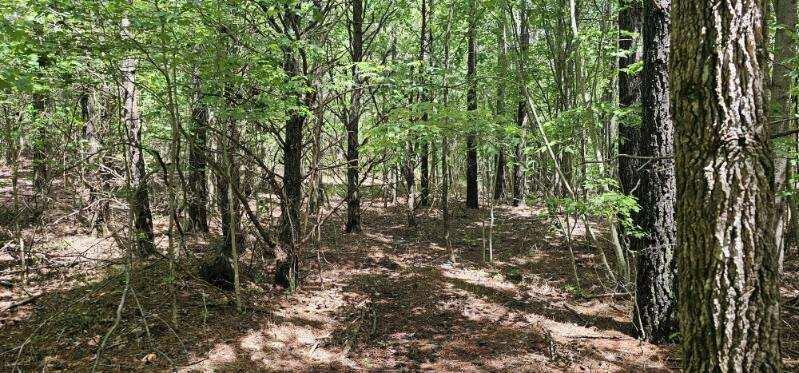 Property Photo: 0 Sunset Rd TN 38585