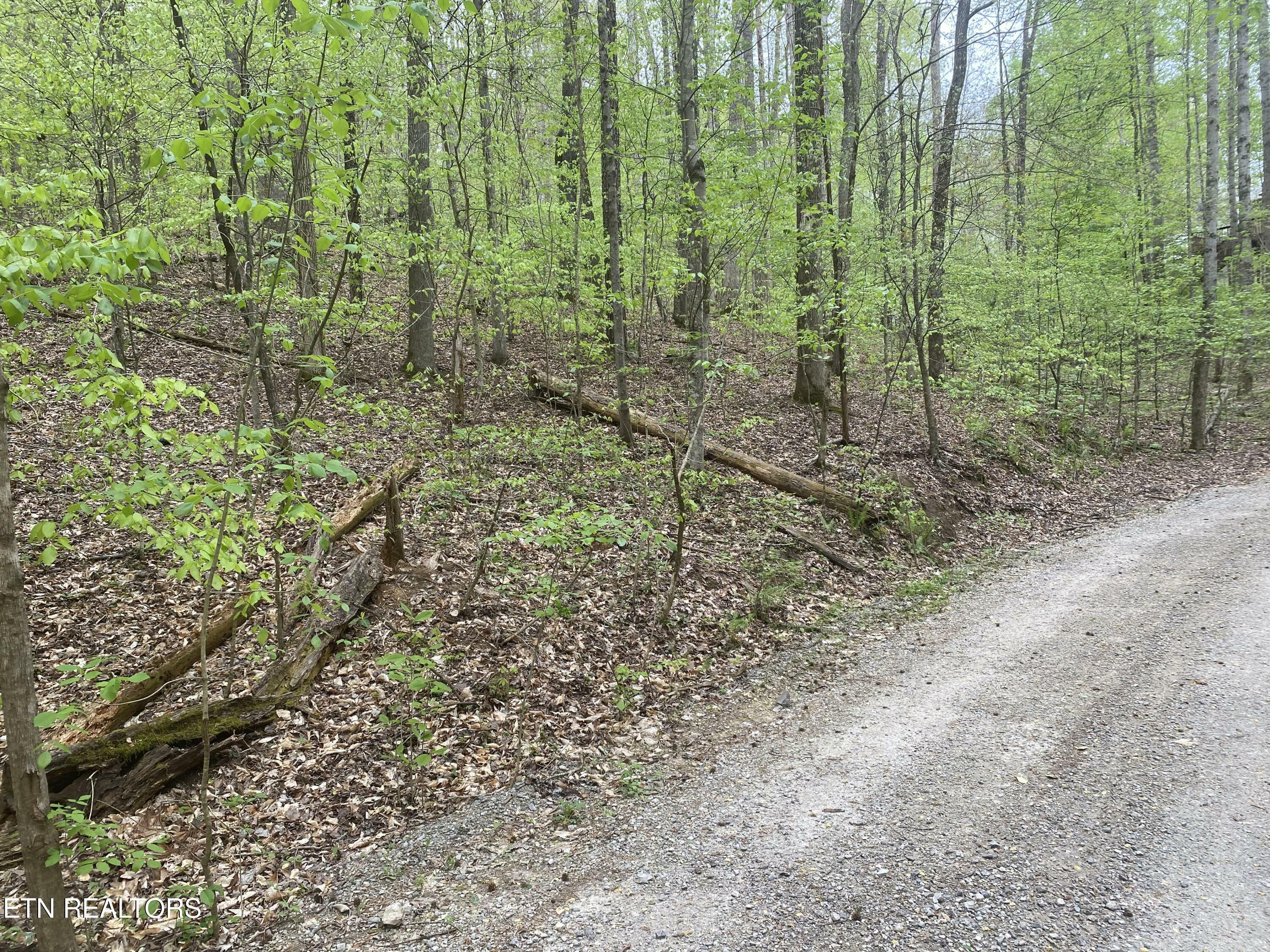 Property Photo: Lot#4,5&6 Lakewood Rd TN 37807