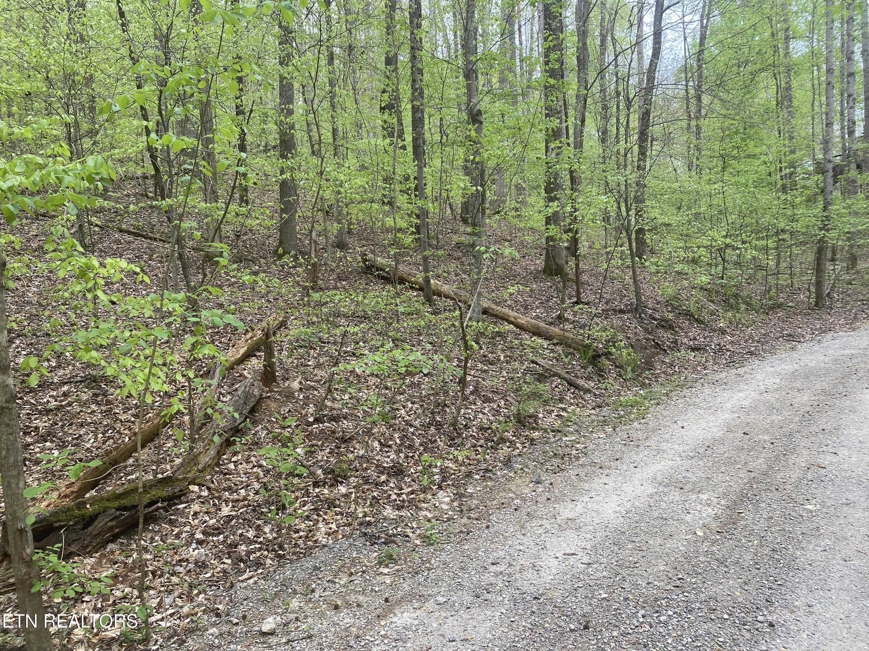 Property Photo: Lot#4,5&6 Lakewood Rd TN 37807