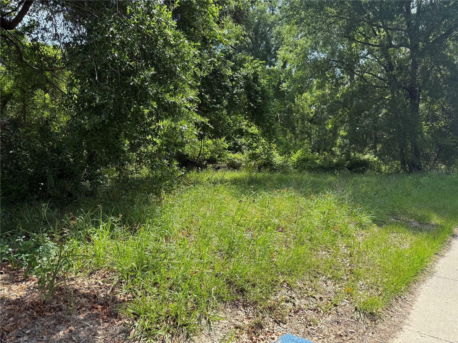 Property Photo: 00 W US Hwy 27 FL 32643