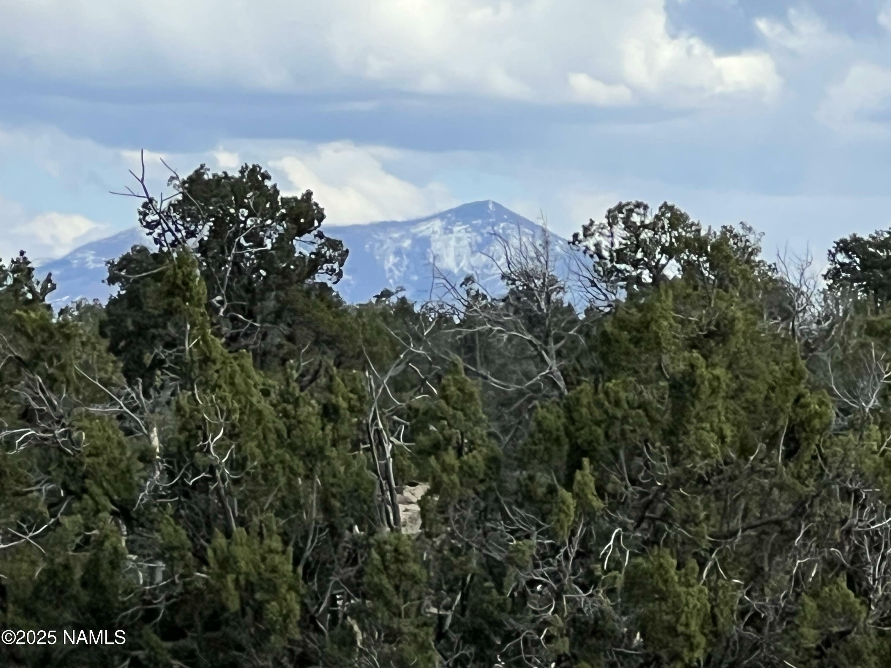 Property Photo:  9558 Bird Dog Circle  AZ 86046 