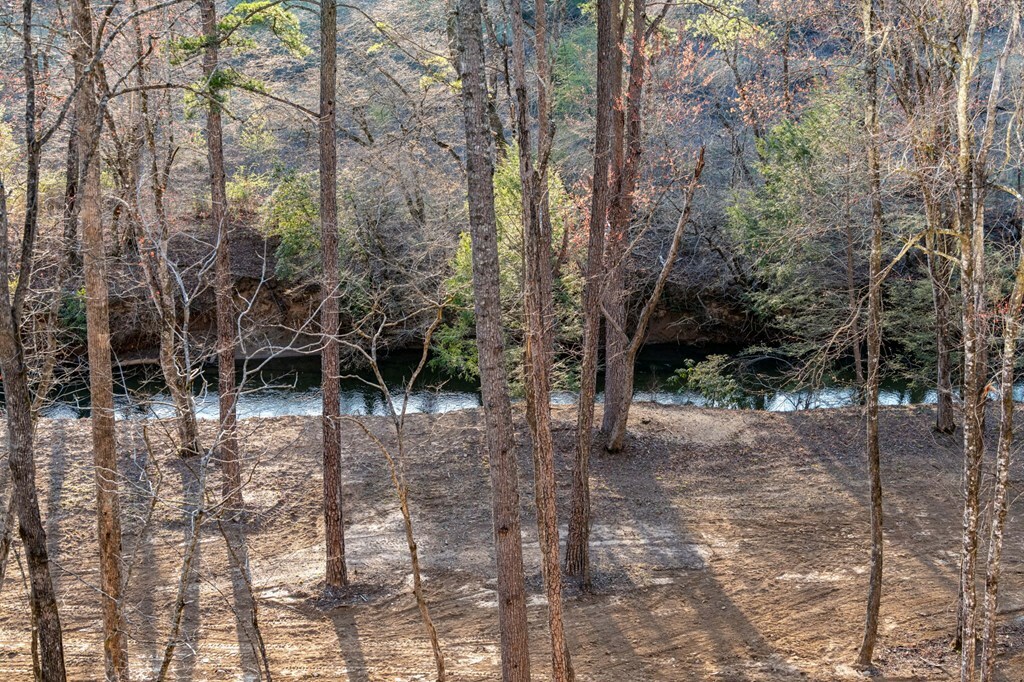Property Photo: 287 Cool Creek Trail GA 30513