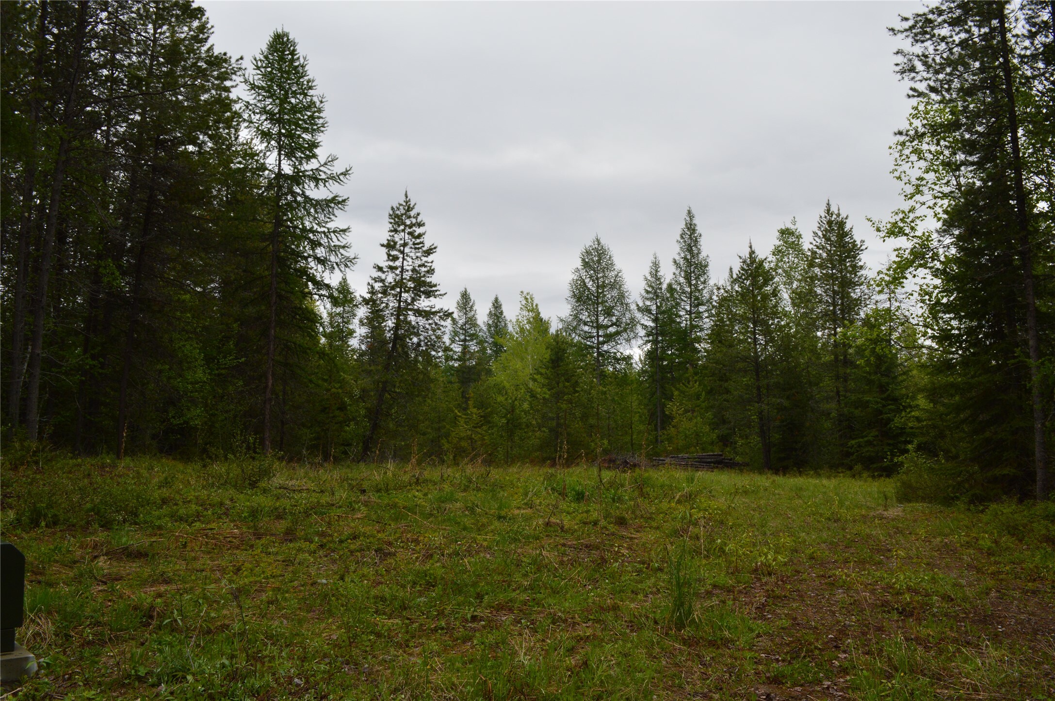 2931 Witty Lane  Columbia Falls MT 59912 photo