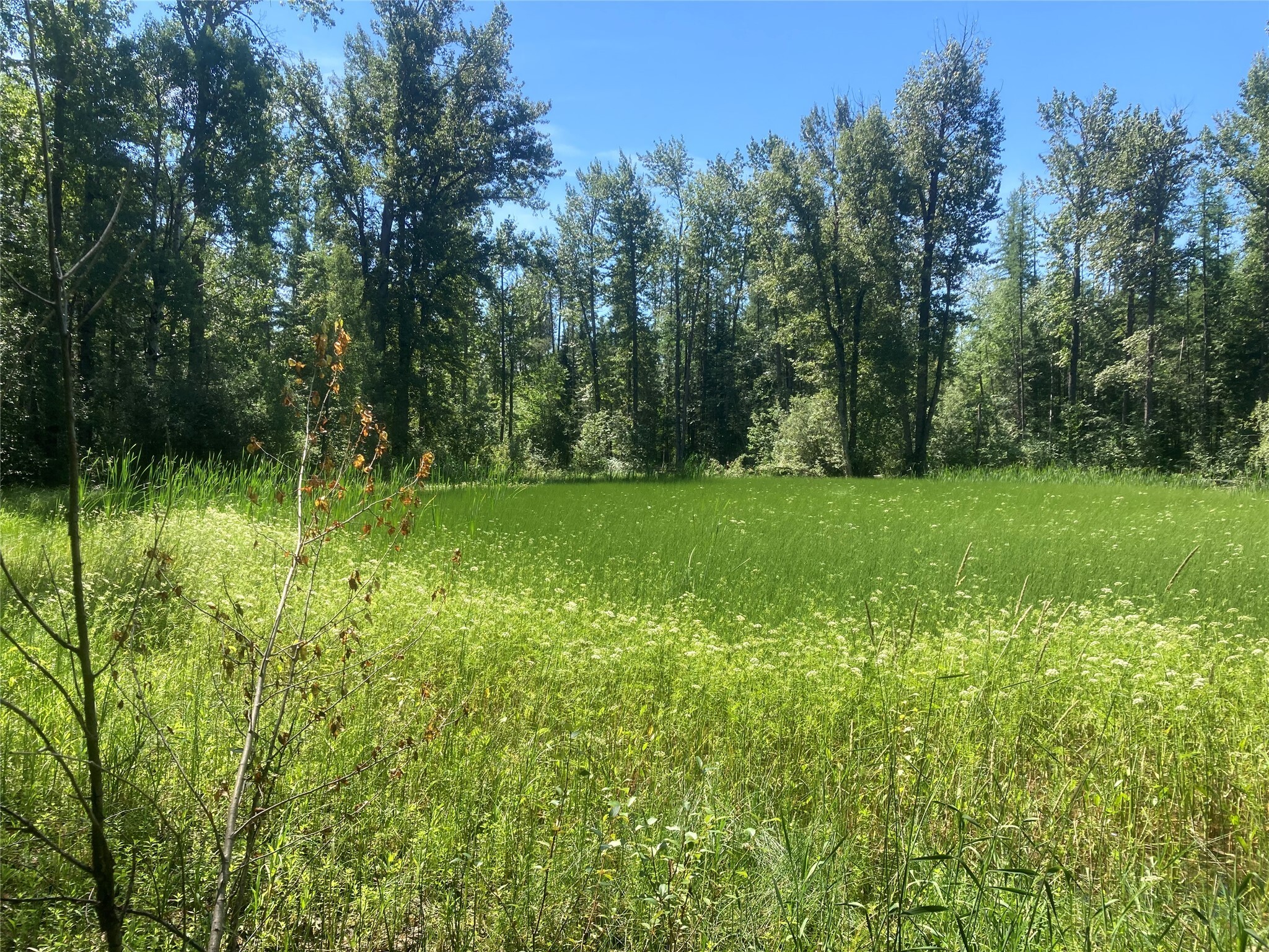 2931 Witty Lane  Columbia Falls MT 59912 photo