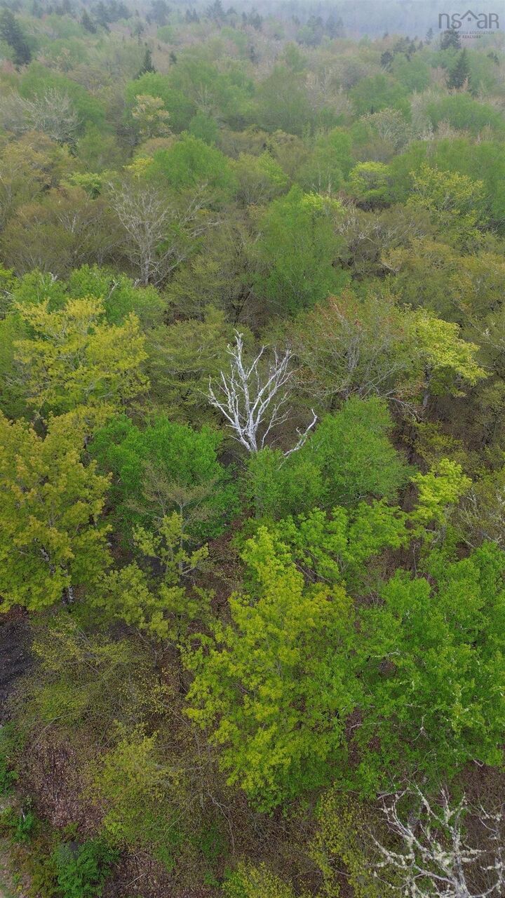 Property Photo:  Lot 46 Turner Point Drive  NS B0J 2E0 