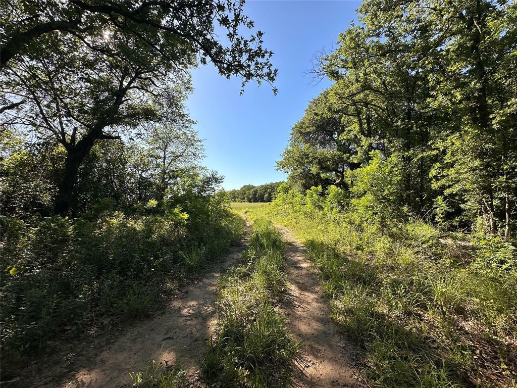 Property Photo: 0000 County Road 428 TX 76471