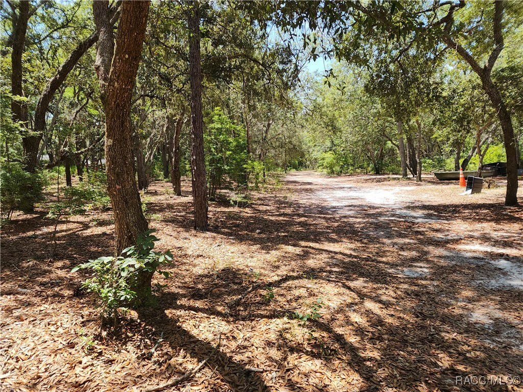 Property Photo: 3775 S Osprey Point FL 34452