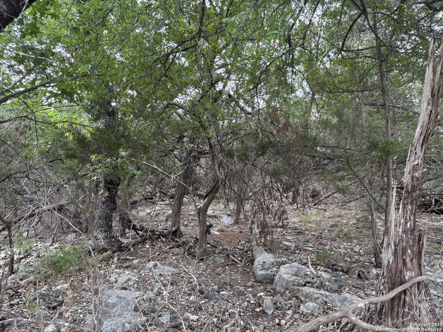 Property Photo: 1424 Stahlman TX 78132