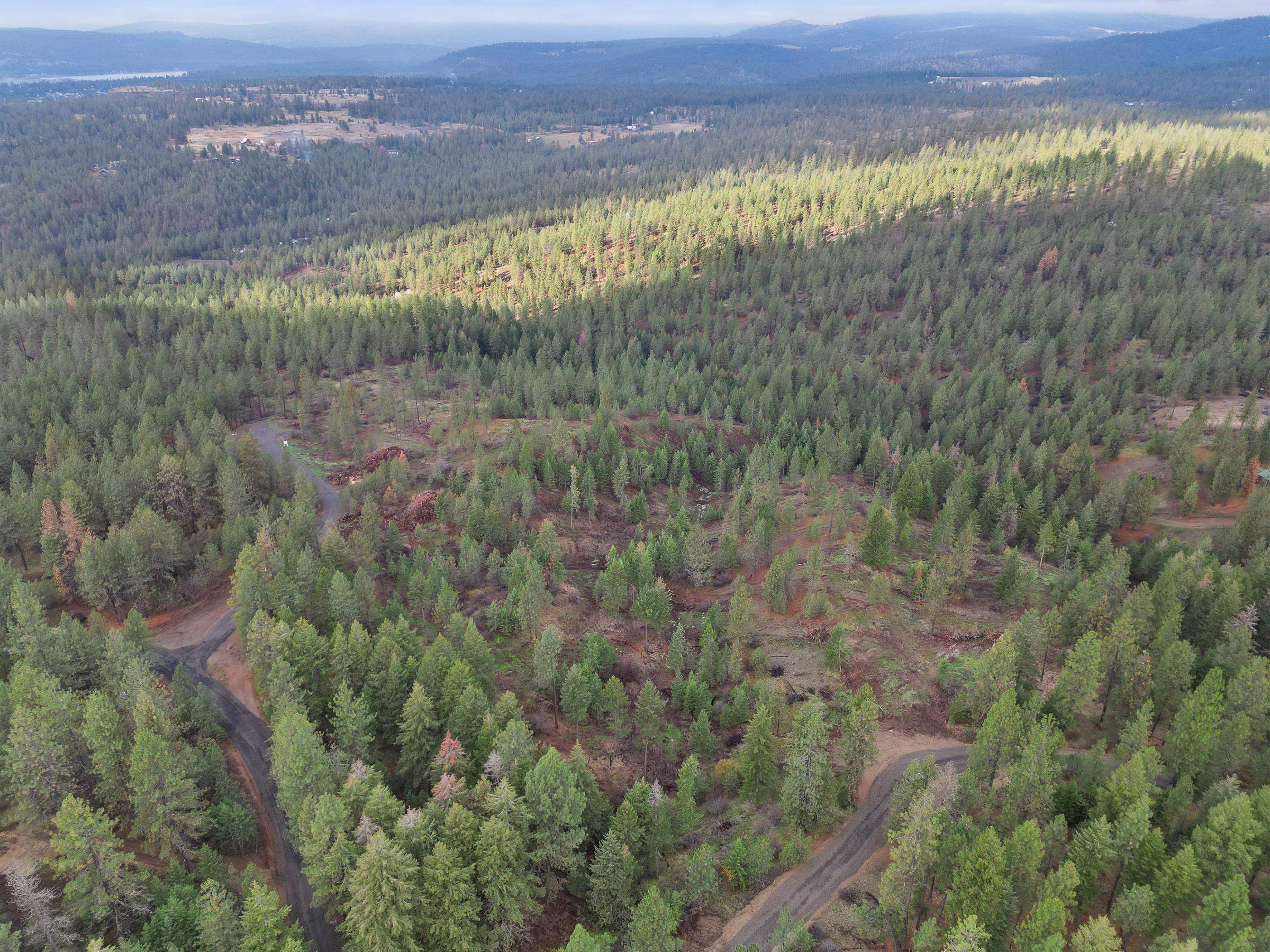 Property Photo: Nka Weaver Way Lot 4 WA 99006