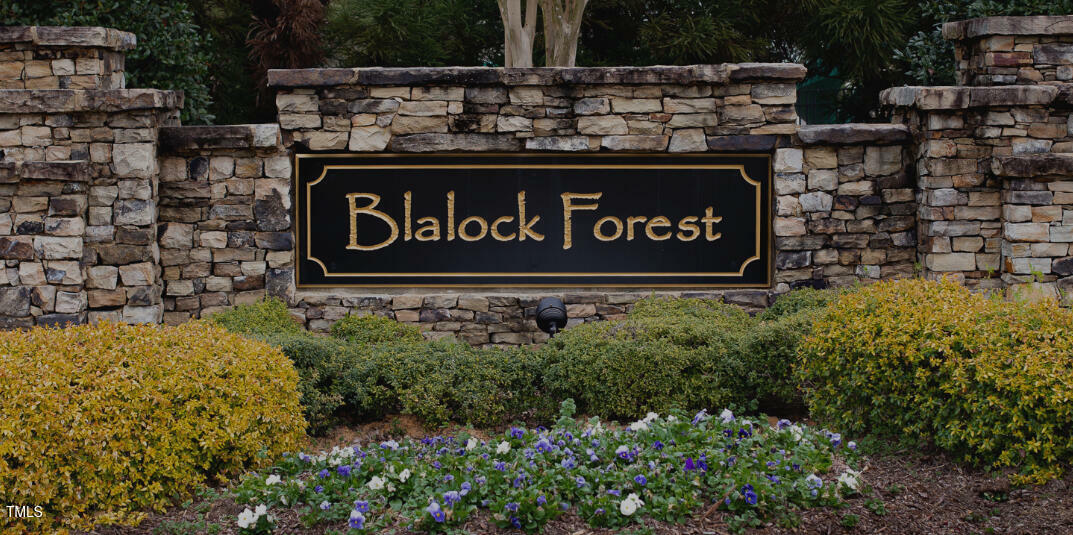 Property Photo: 6512 Blalock Forest Drive NC 27592
