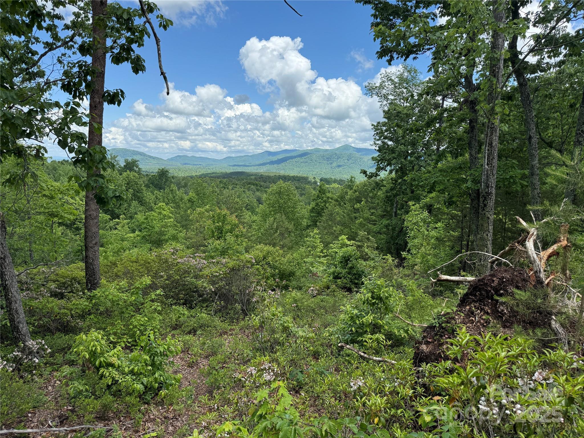 Property Photo:  113 Valley View Trail 323  NC 28761 