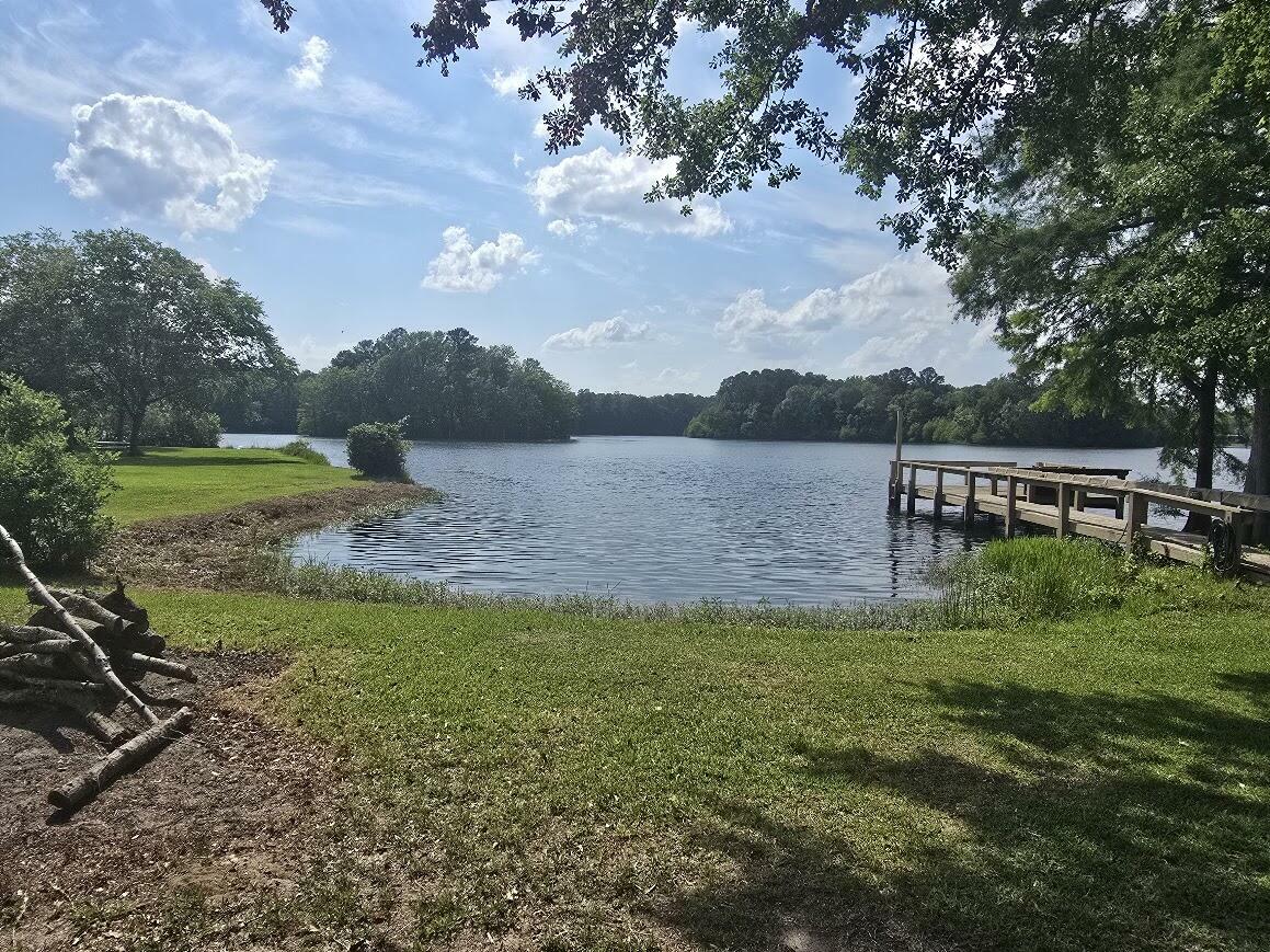 304 Fountain Lake Drive  Eutawville SC 29048 photo