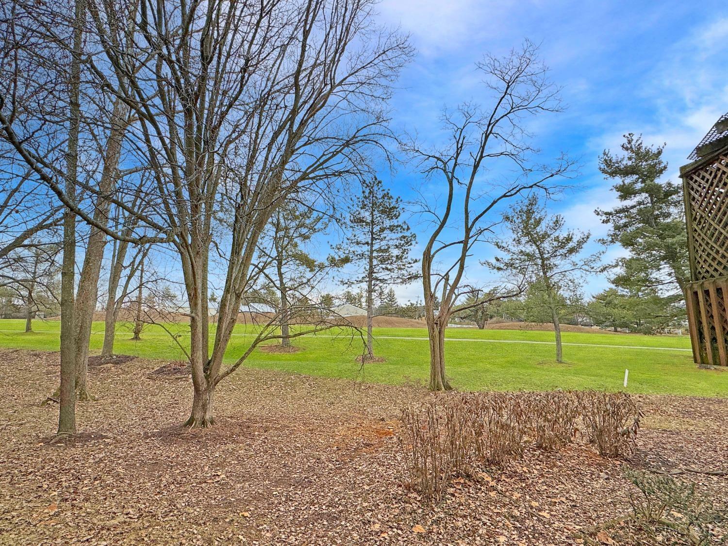 Property Photo: 47 Carpenters Ridge OH 45241
