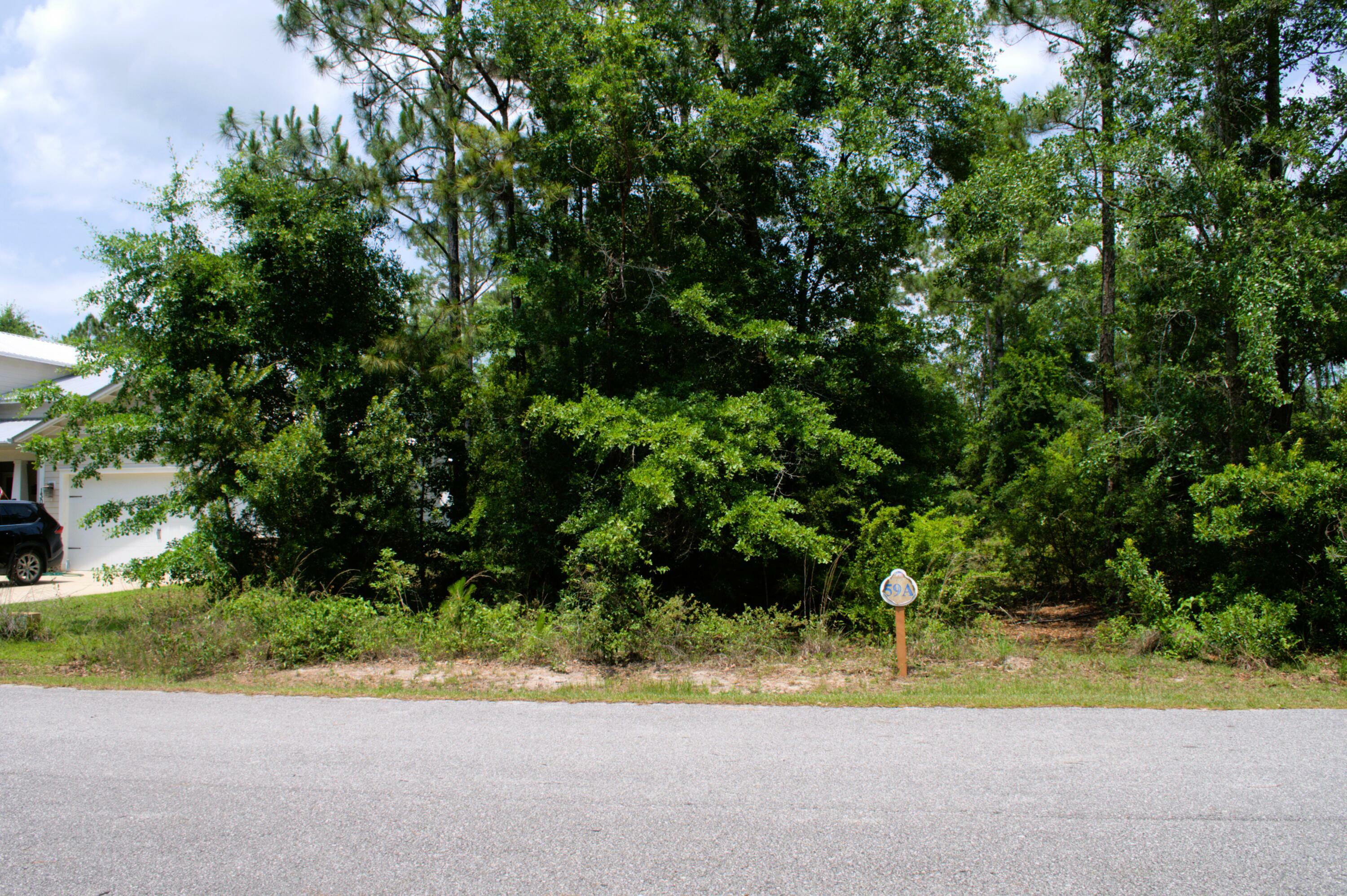Property Photo: Lot 59 Muzzle Street FL 32439
