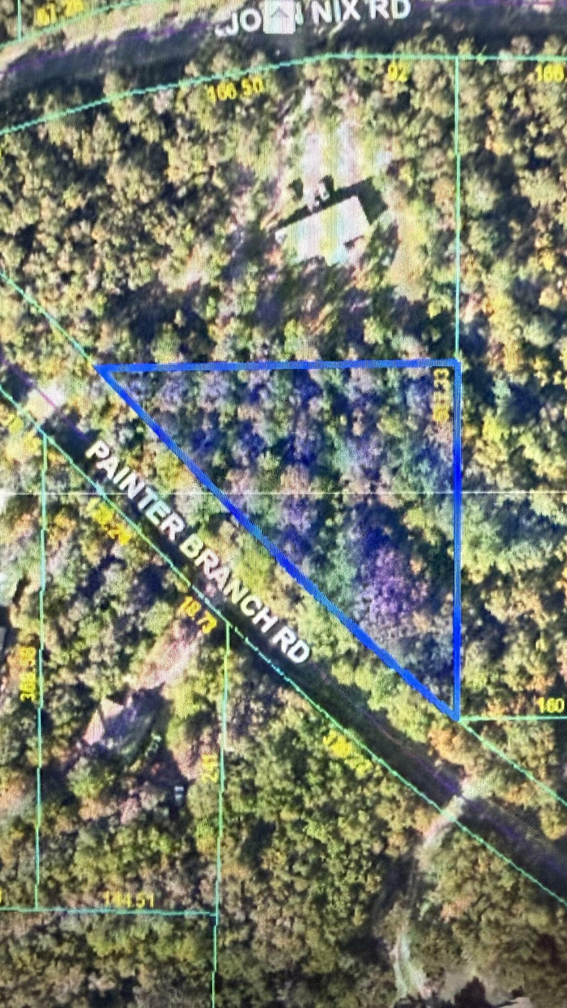 Property Photo: Tbd Painter Branch Road FL 32539