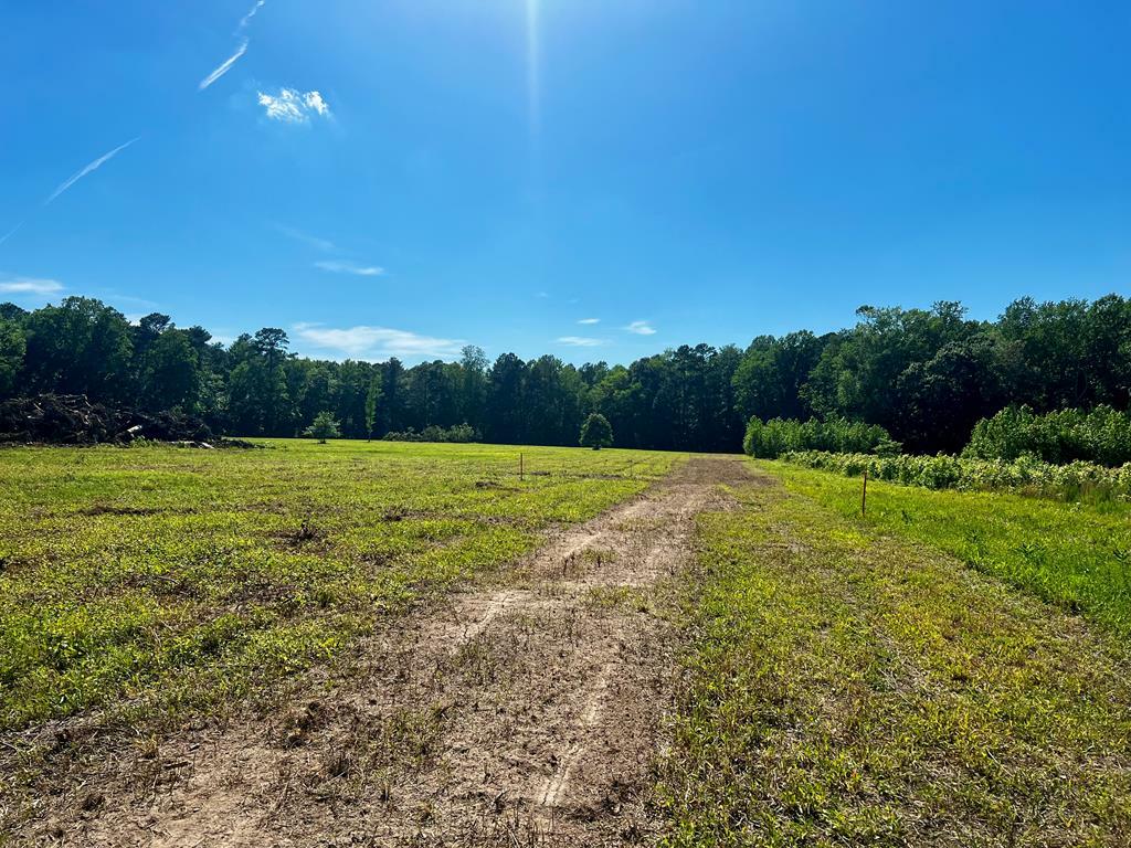 Property Photo: Lots 1-8 Gray Farm Rd VA 23442