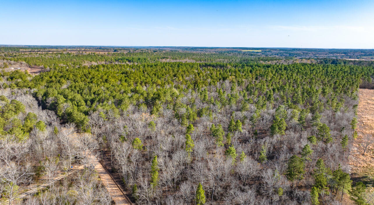 Property Photo: Lot 14 Bluffwood Road SC 29164